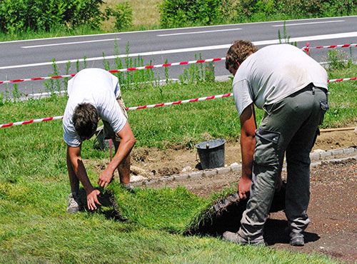 Engazonnement à Saint-Omer